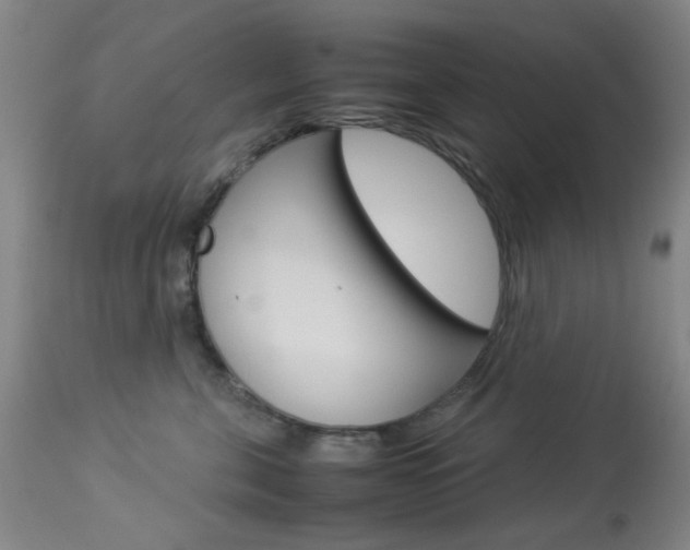X0000113910571200909241308