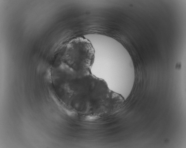 X0000113910573200909241308