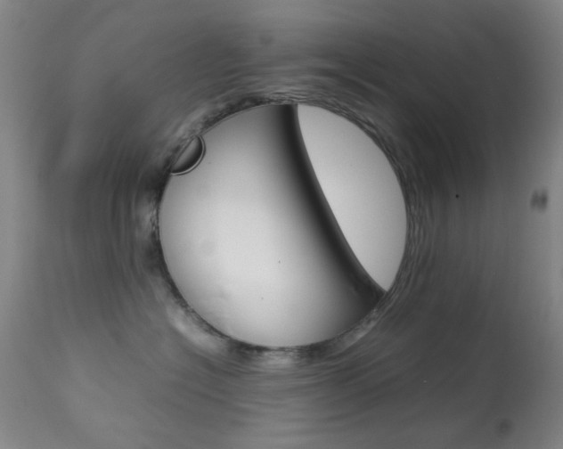 X0000113910574200909241308