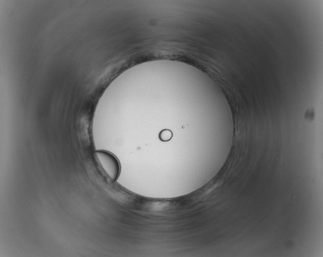 X0000113910575200909241308