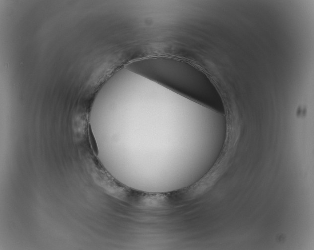 X0000113910576200909241308