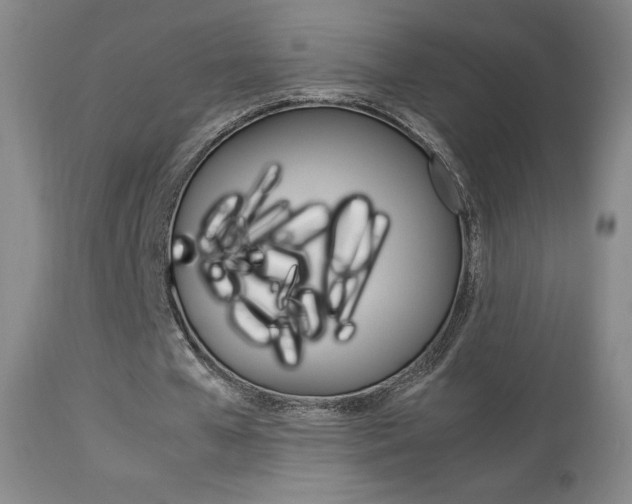 X0000113910577200909241308