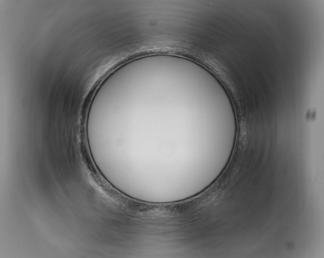X0000113910578200909241308