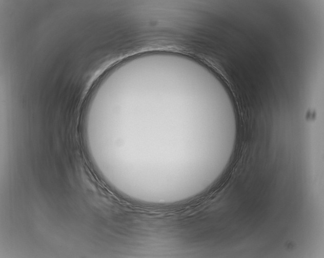 X0000113910579200909241308
