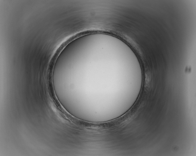 X0000113910580200909241308