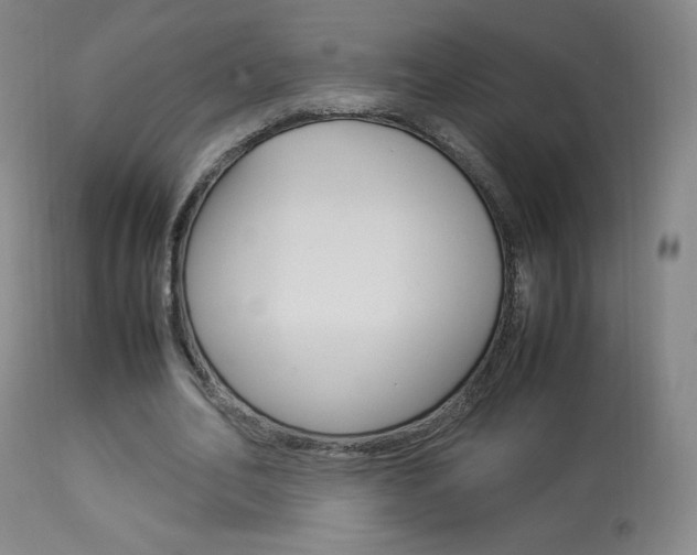 X0000113910582200909241308