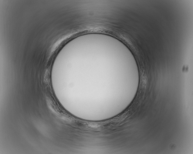 X0000113910583200909241308