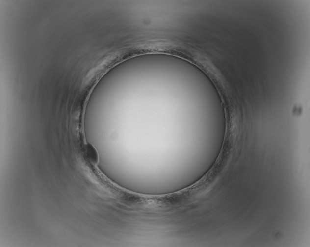 X0000113910585200909241308