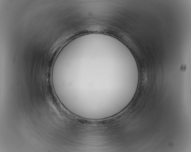 X0000113910586200909241307