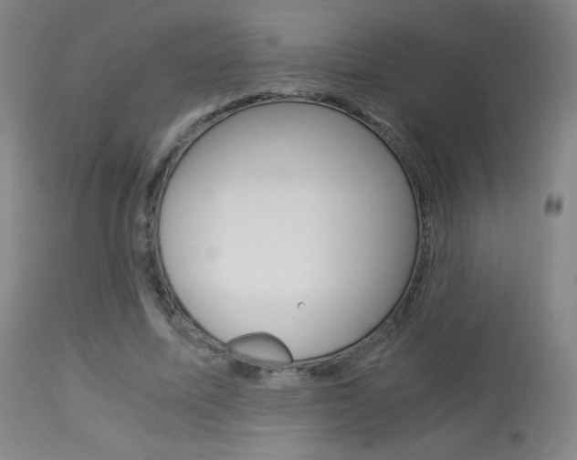 X0000113910587200909241307