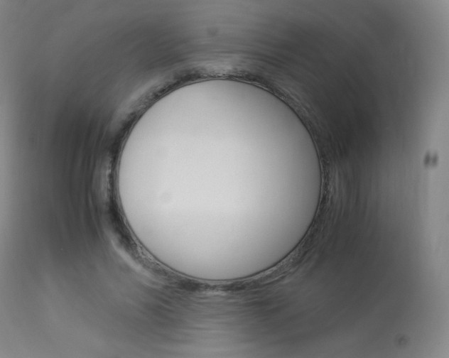 X0000113910590200909241307