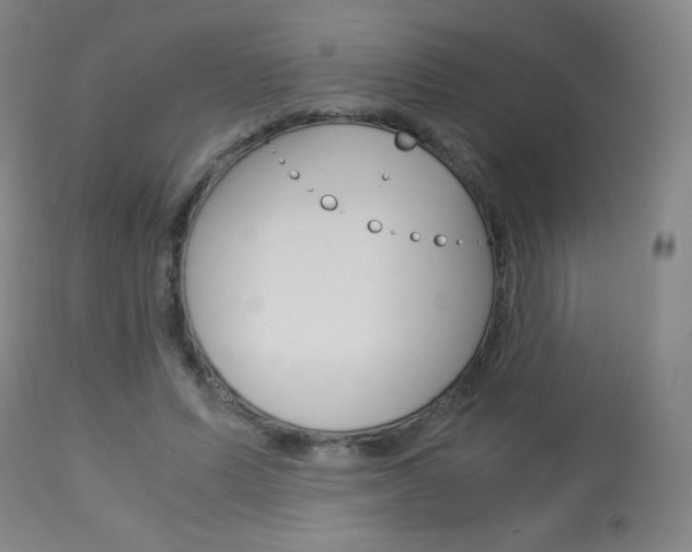 X0000113910591200909241307