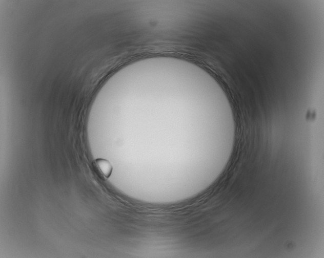 X0000113910593200909241307