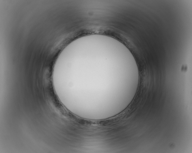 X0000113910594200909241307