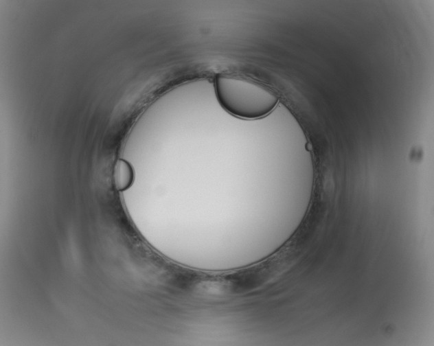 X0000113910595200909241307