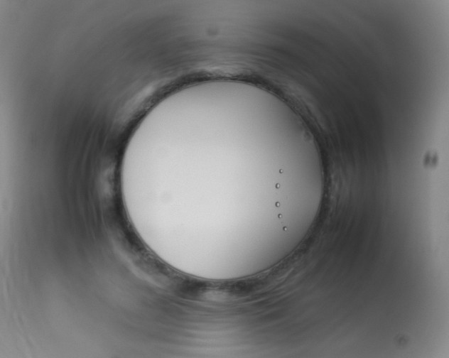 X0000113910596200909241307