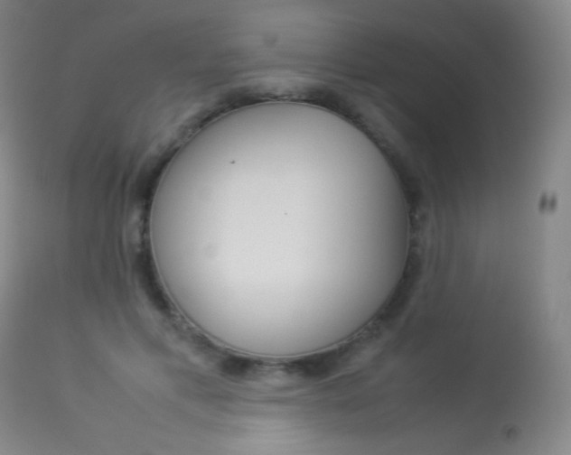 X0000113910597200909241307