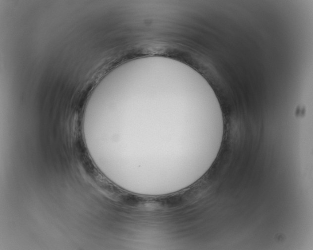 X0000113910598200909241307