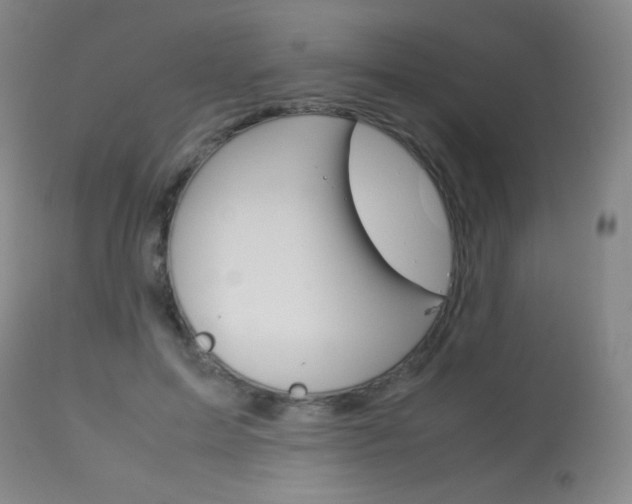X0000113910599200909241307