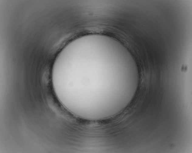 X0000113910600200909241307