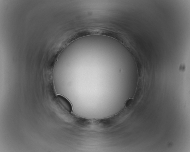 X0000113910601200909241307
