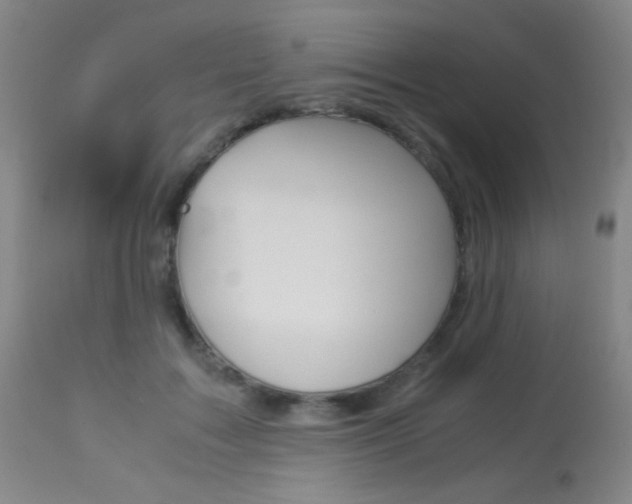 X0000113910603200909241307