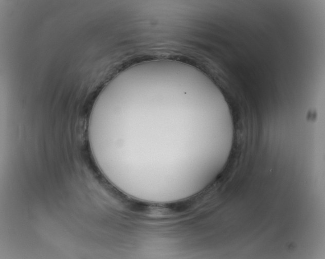 X0000113910605200909241307