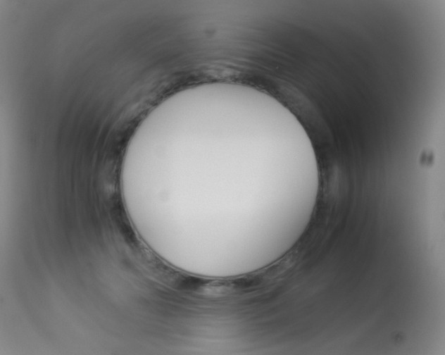 X0000113910606200909241307