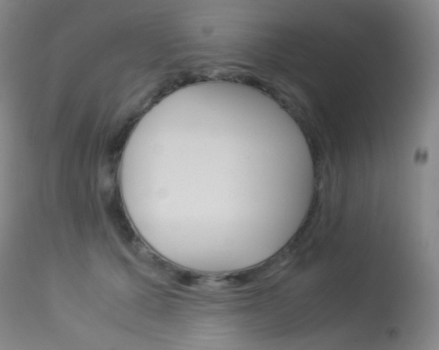 X0000113910607200909241307