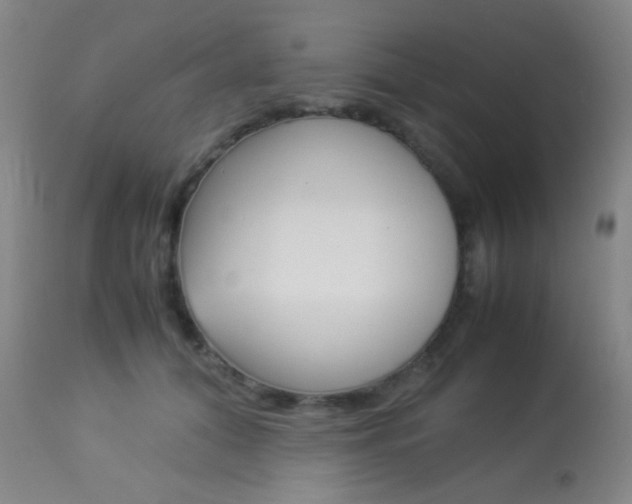 X0000113910608200909241307