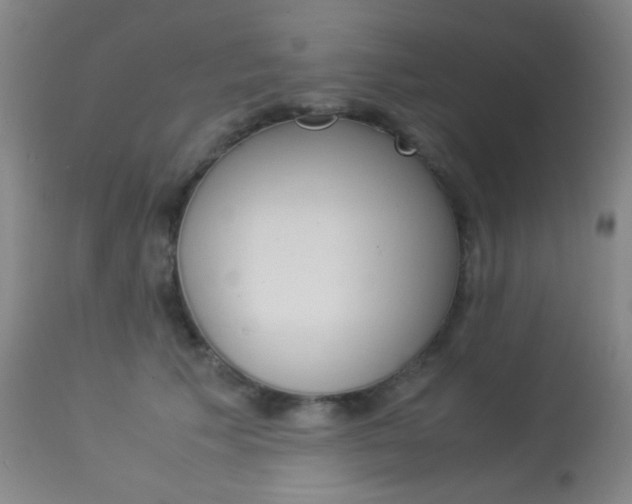 X0000113910609200909241307