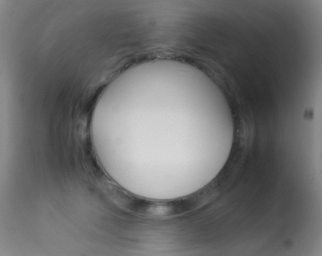 X0000113910610200909241307