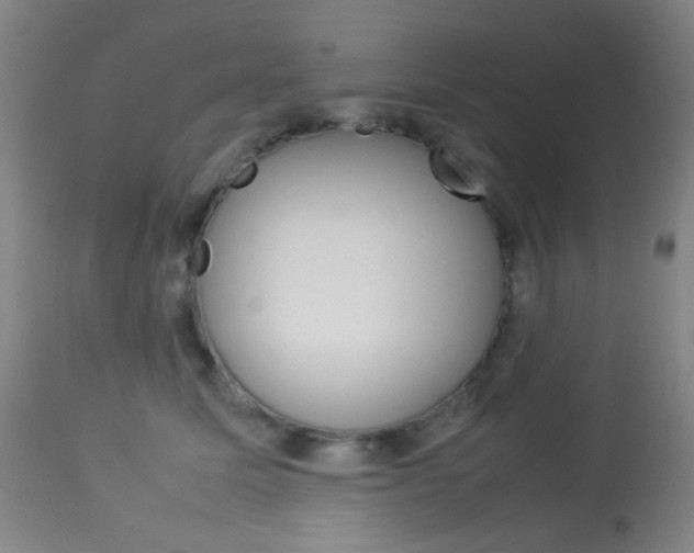 X0000113910611200909241307
