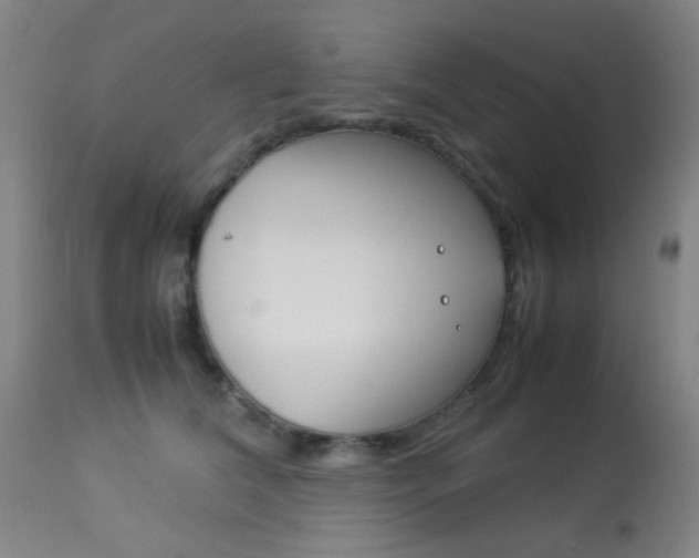 X0000113910612200909241307