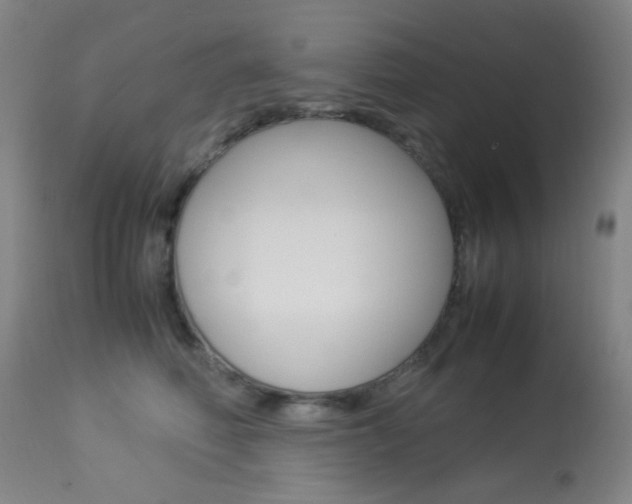 X0000113910614200909241307