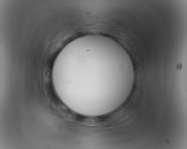 X0000113910615200909241307