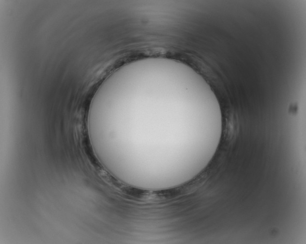 X0000113910616200909241307