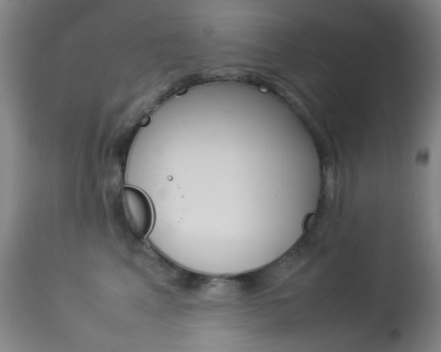 X0000113910617200909241307