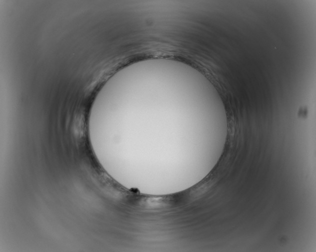 X0000113910622200909241307