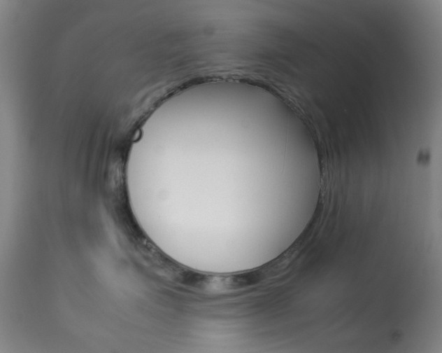 X0000113910623200909241307