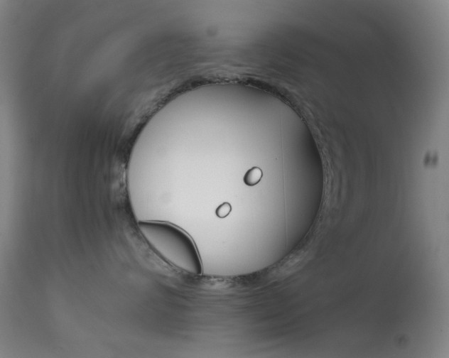 X0000113910624200909241307