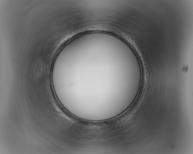 X0000113910625200909241306