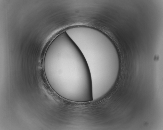 X0000113910628200909241306