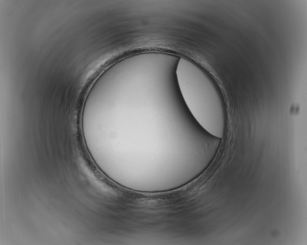X0000113910629200909241306