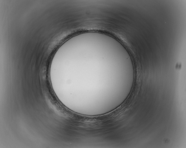 X0000113910631200909241306