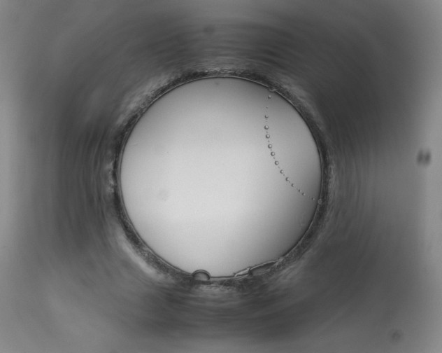 X0000113910633200909241306