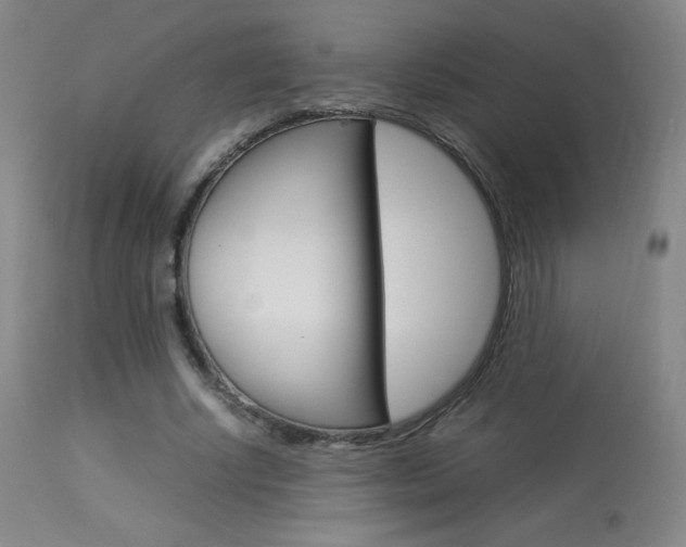 X0000113910634200909241306