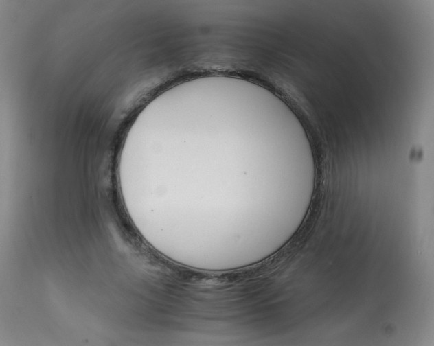 X0000113910635200909241306