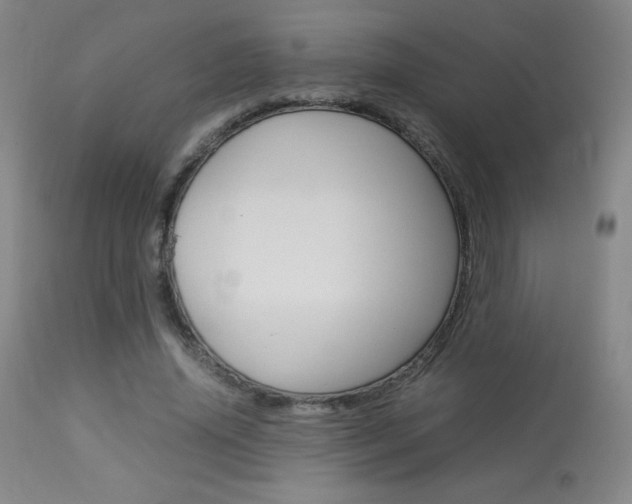 X0000113910636200909241306