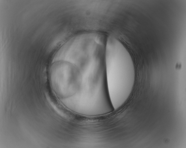 X0000113910638200909241306